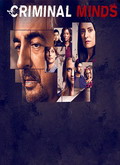 Mentes Criminales Temporada 14