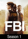 F.B.I. Temporada 1